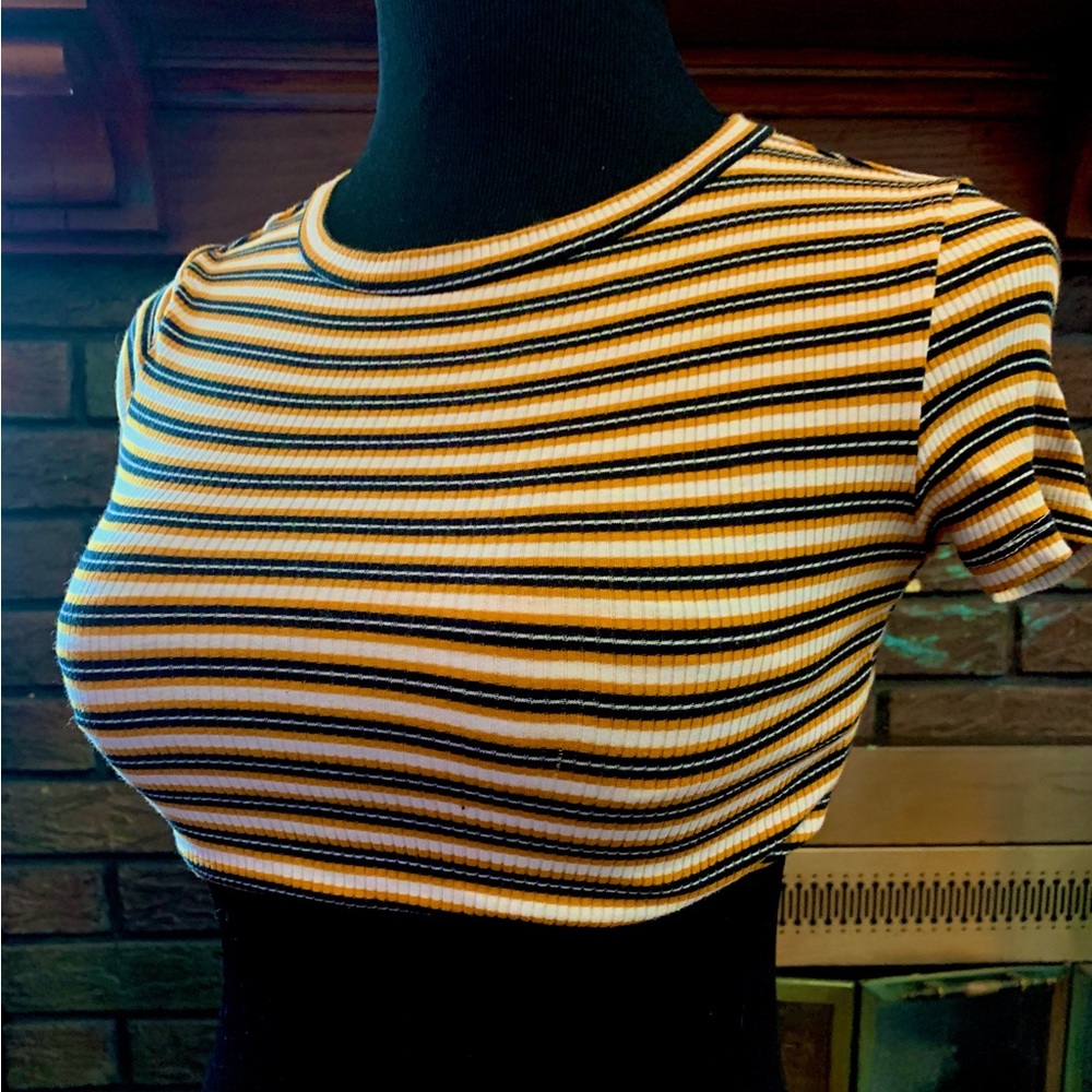 Striped Grungy Crop